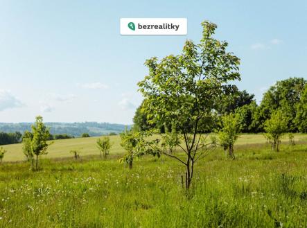 Prodej - pozemek, zemědělská půda, 126 783 m²