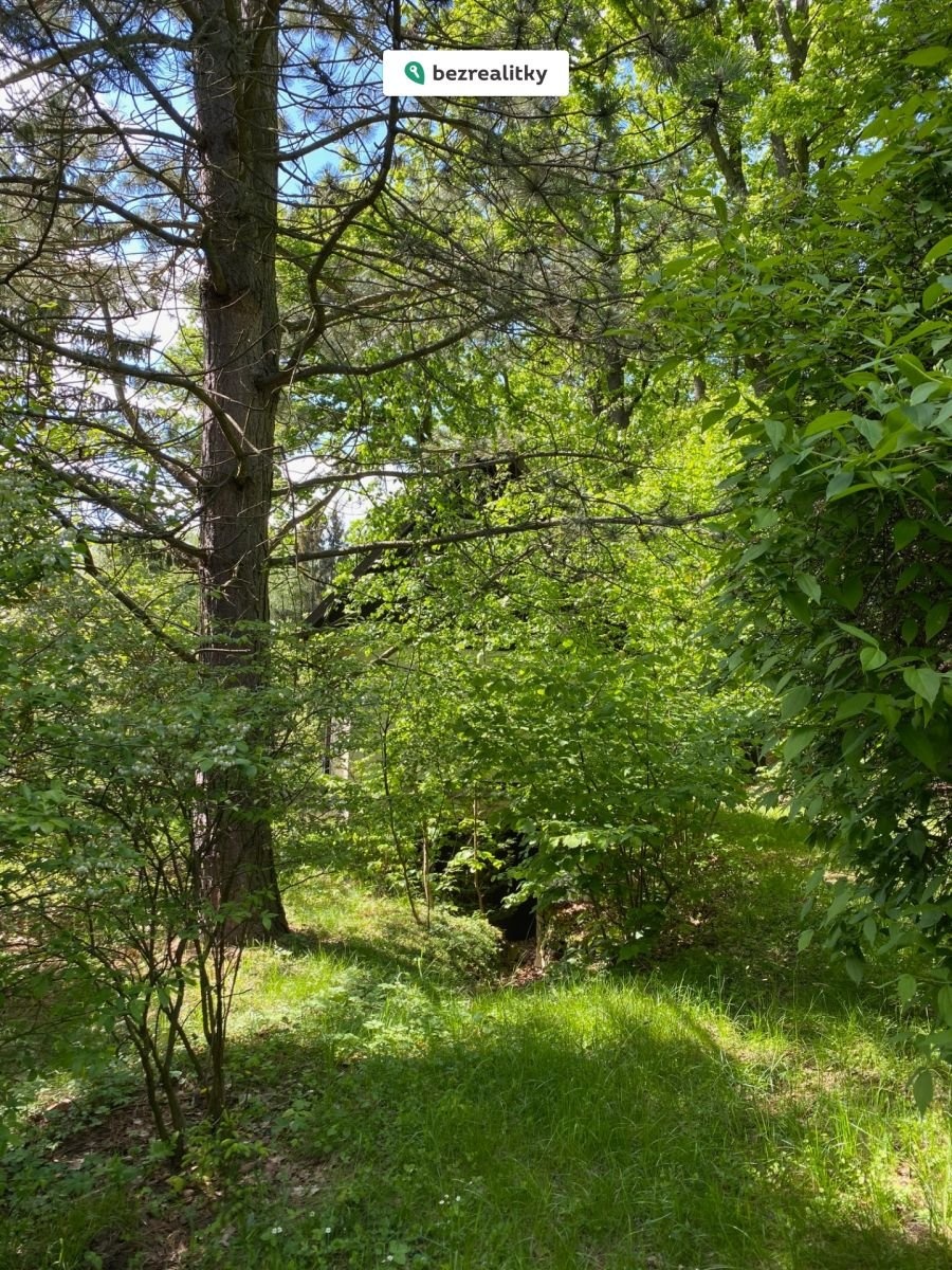 1773750373-tktpsrrccl-img-3732