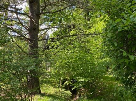 Prodej chaty/rekreačního objektu, 27 m²