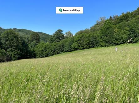 Prodej pozemku, trvalý travní porost, 10 000 m²