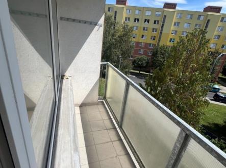 1724610879-xsjagokydl-img-9199