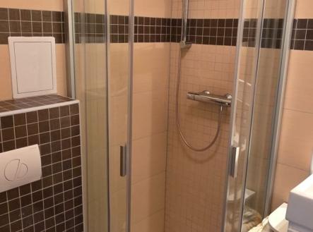 1754425088-mlvomsvneq-7-sprcha-a-wc