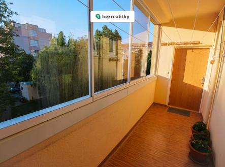 1754423303-agqzhsaemy-za-zelenou-liskou-11-16