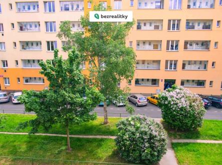 1754423364-uzmpvbjorv-za-zelenou-liskou-11-31