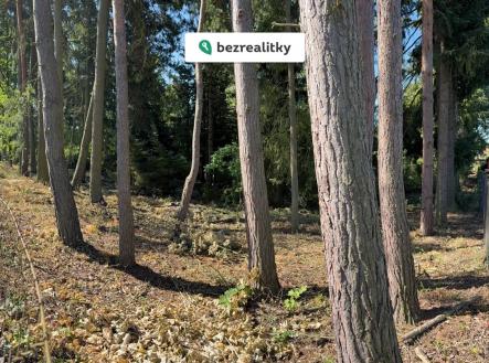 Prodej pozemku pro bydlení, 3 385 m²