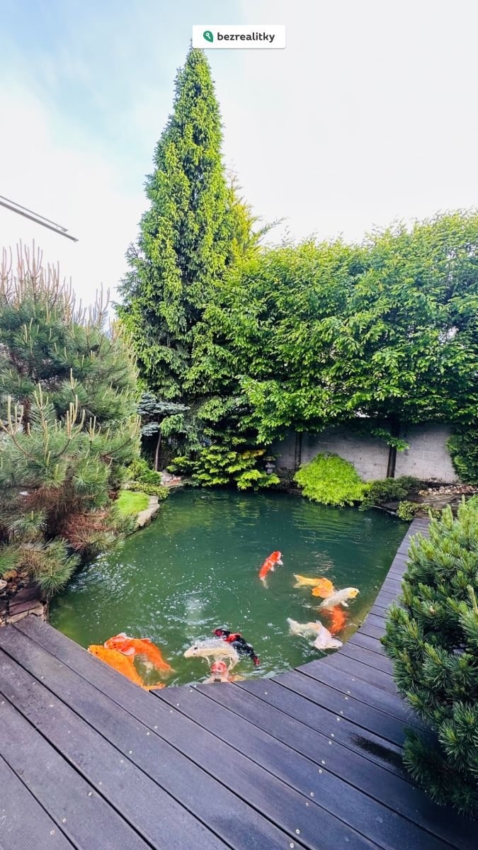 1750291310-licnaykagd-img-2291