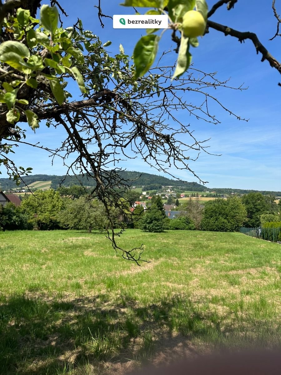 1759817588-gdhxtmwgej-img-6402