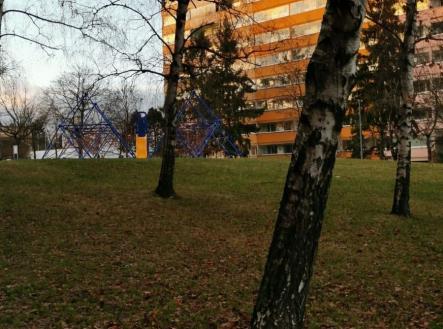 1741636237-ttbxuixkiw-img-20250310-wa0011