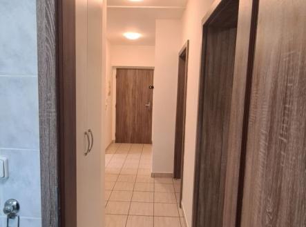 1757309931-yogwdglymo-20250905-084908