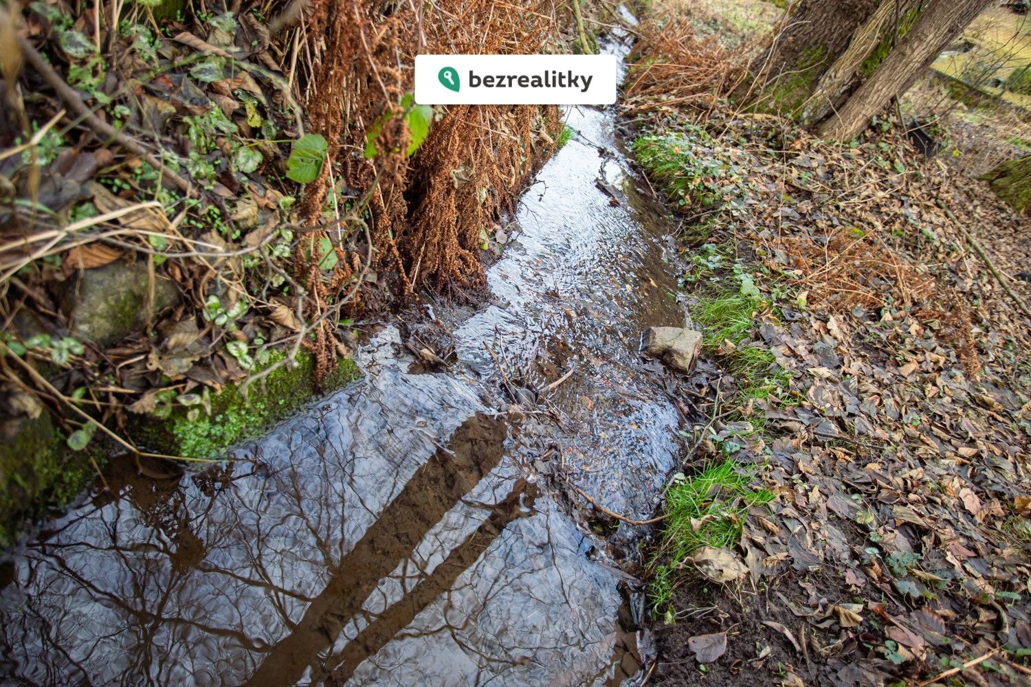 1760707160-tdgmbyqxzz-img-8243