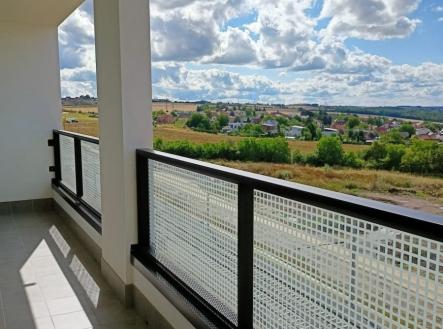 1758815778-lhjslivbug-img20230809154029