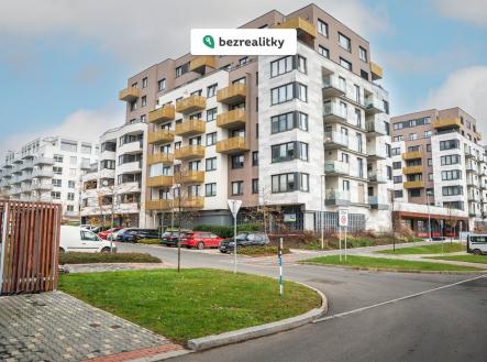 1763466500-ipnvlesapz-1-2833-29