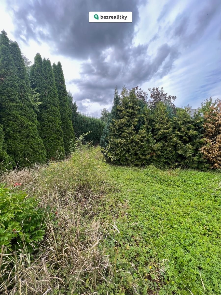 1761670814-rjfkgnsxac-img-0366