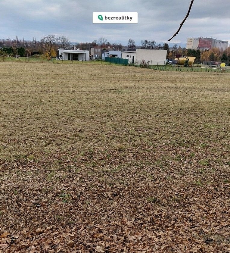 1762772309-vujbckczzo-foto7