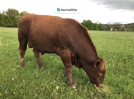 Prodej pozemku, ostatní, 420 000 m²