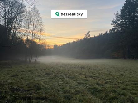 Prodej pozemku, trvalý travní porost, 2 300 m²