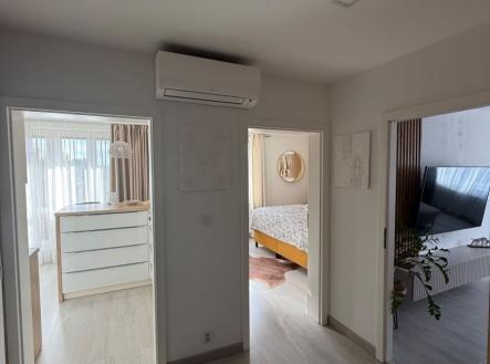 1761138001-tlujtnaaix-img-1021