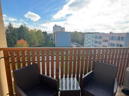 1761138002-rxkpfuyqit-img-1029