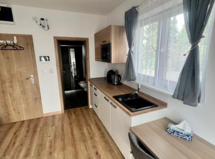 Prodej bytu, 1+kk, 19 m²