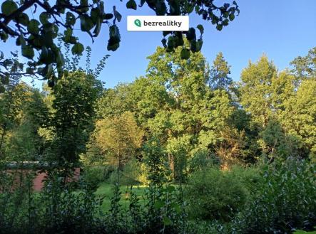 1762965596-ylmijzyjxe-1000035289