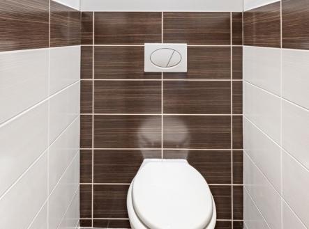 1763038872-xcvreorisp-wc