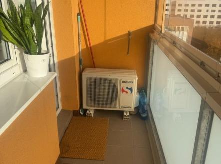 1763049659-nehuhlrsmk-img-2193