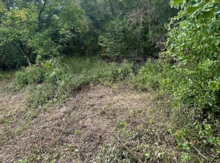 Prodej pozemku, ostatní, 504 m²