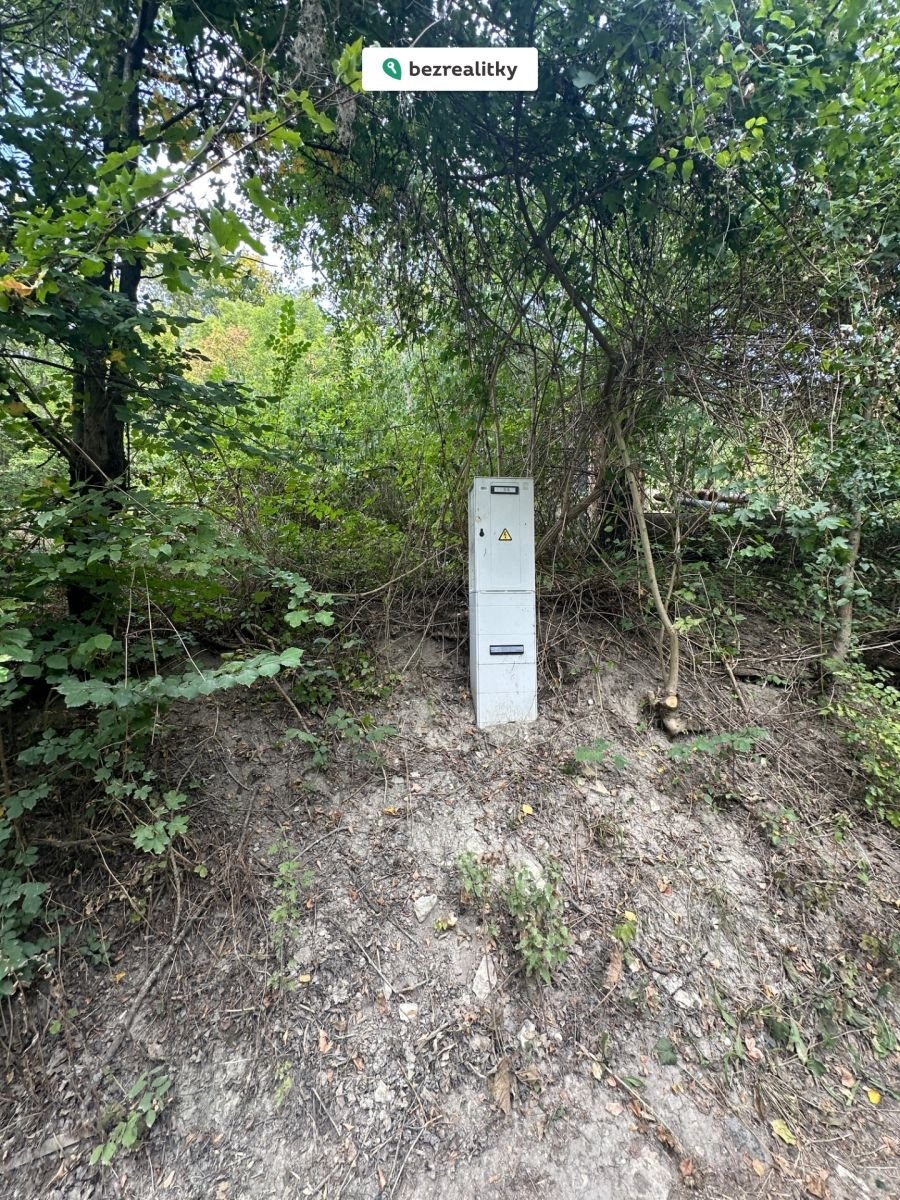 1763065469-lchqnsygdh-img-4083