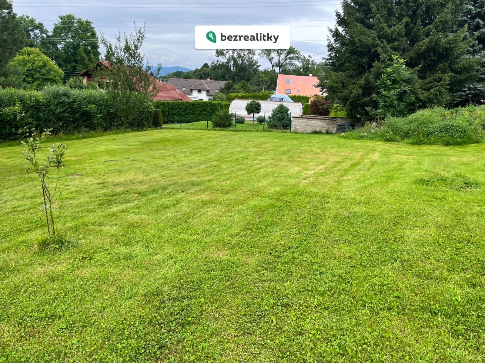 1763265860-bwzhjmrmjp-img-5869