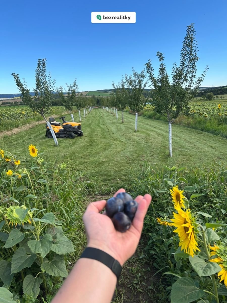 1763367453-ukrwljkdvz-img-6907