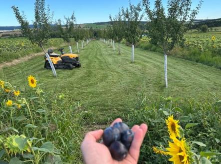 Prodej pozemku, zahrada, 2 899 m²