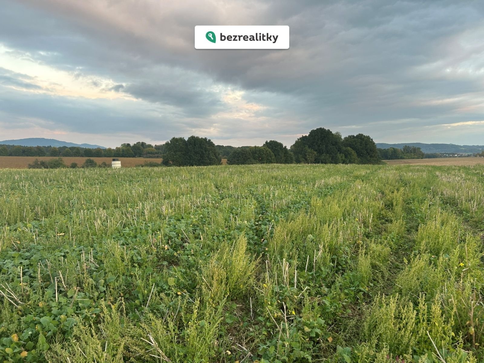 1763806986-qsgfekfohu-obr4