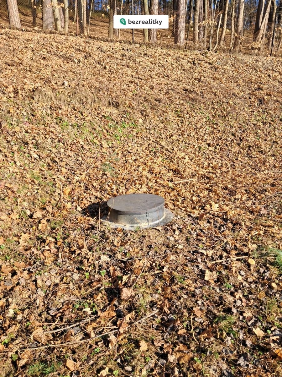 1763916930-gfrufasscg-20251122-115856