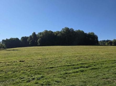 Prodej pozemku pro bydlení, 4 441 m²