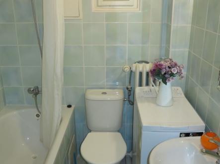 1764489774-dtxiuqeoct-img-0223