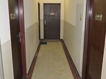 1764489789-xegshloxif-img-0171