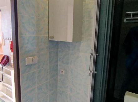 Prodej bytu, 5+1, 89 m²