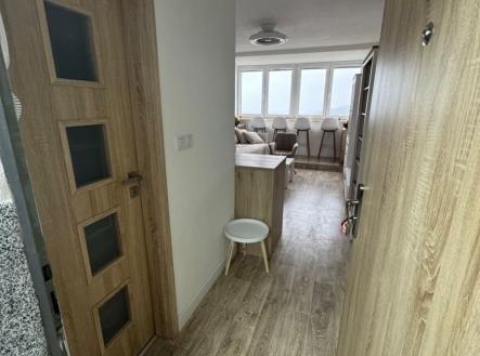 Prodej bytu, 1+kk, 24 m²