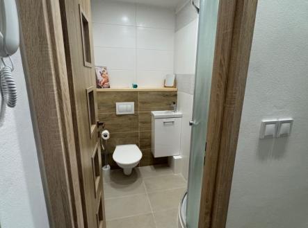 Prodej bytu, 1+kk, 24 m²