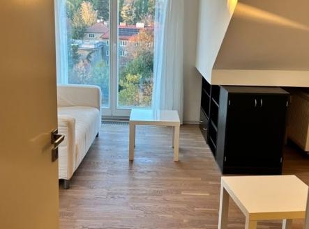 Prodej bytu, 1+kk, 58 m²