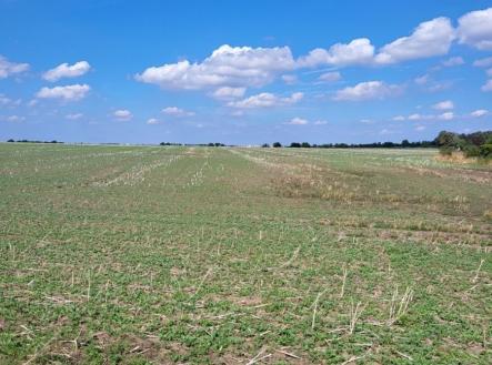 Prodej pozemku pro bydlení, 1 500 m²