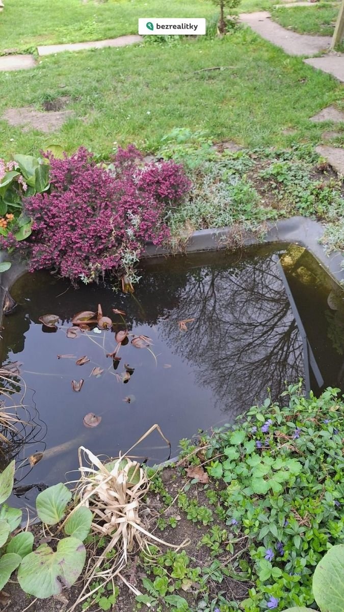 1765710386-rxefgemlzc-1000007018