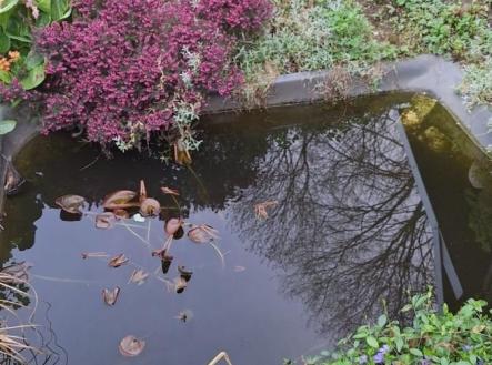 Prodej pozemku, zahrada, 400 m²