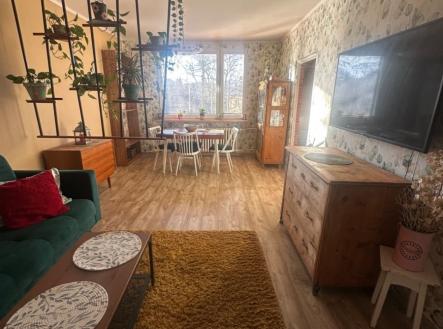 1766143874-cgmdqacvvp-img-4205