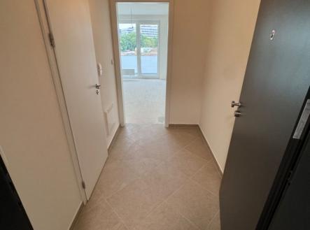 1766437830-grdqwvkqak-chodba