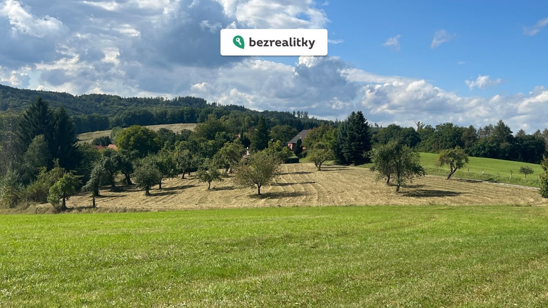 1768219870-xddzghrykc-foto-1