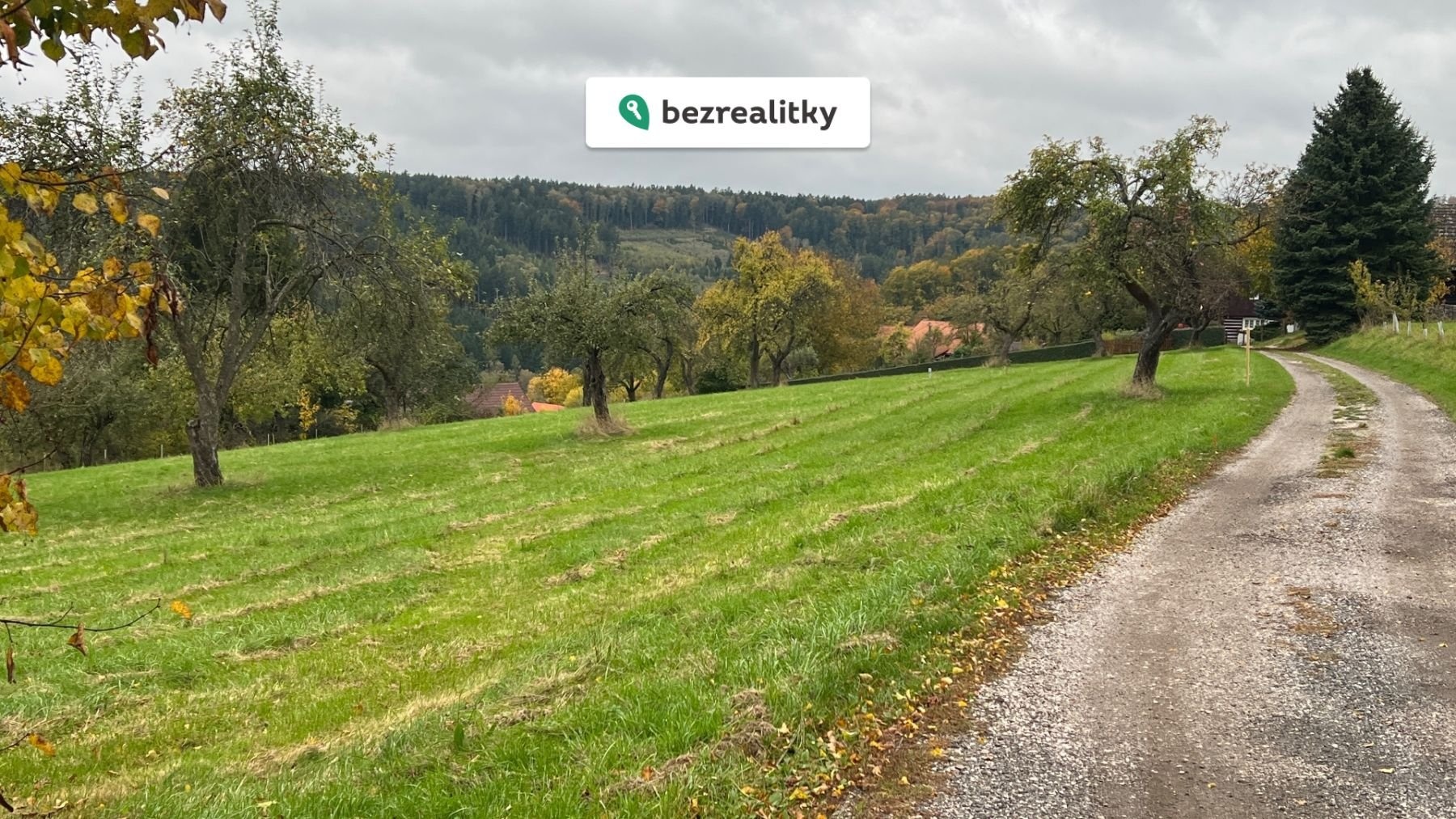 1768219872-blojzbloka-foto-2