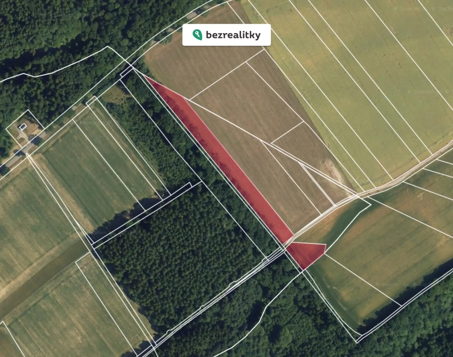 1767820316-qwcsckwtmg-letecka-cc-81