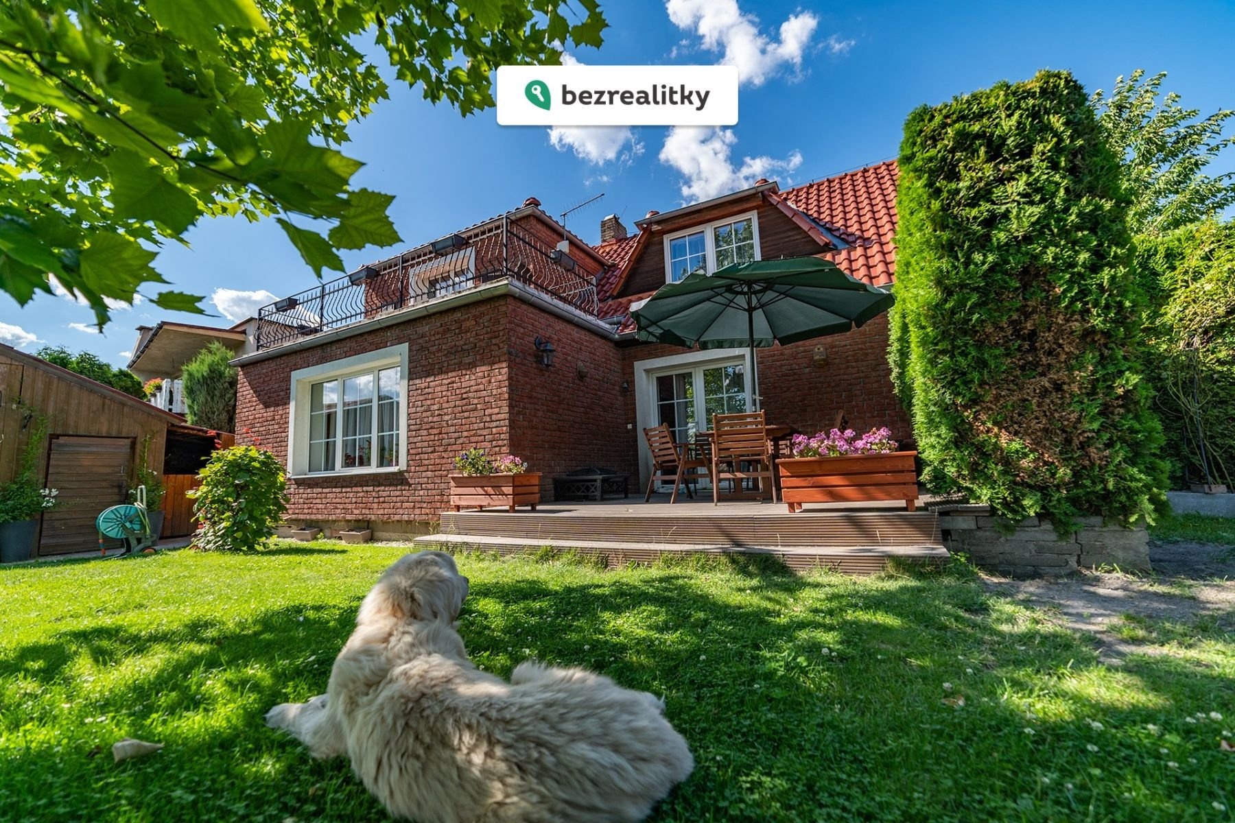 1768150112-fkwvwtulcw-bar-c3-a1k-a-okol-c3-ad-06229