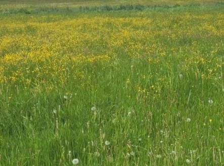 Prodej pozemku pro bydlení, 1 349 m²